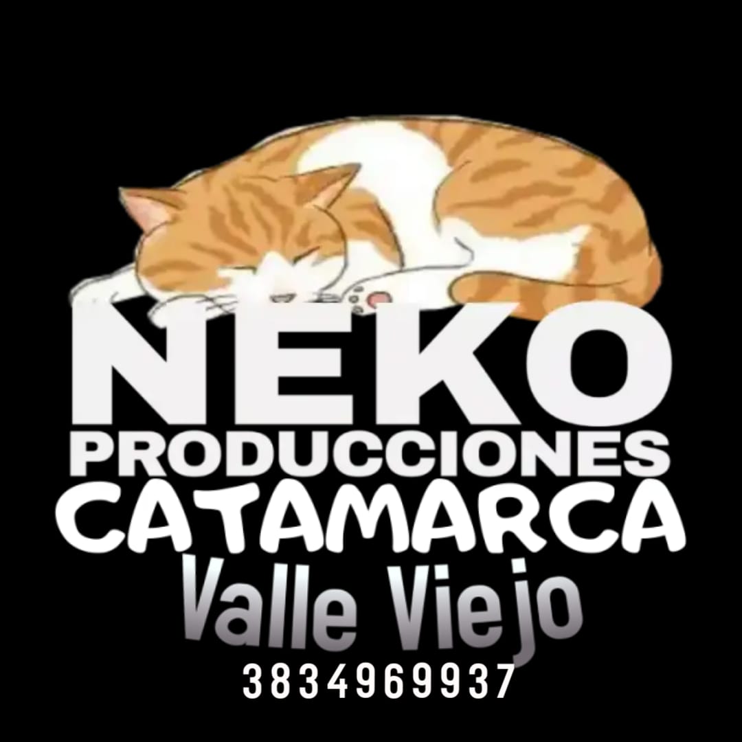 Sponsor